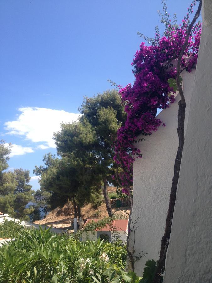 Rosys Little Village Skala  Exterior photo